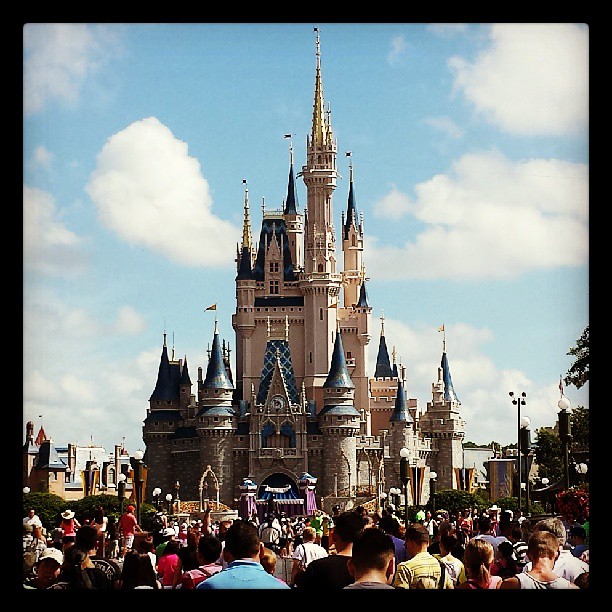 WDW